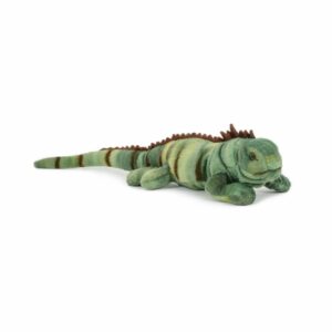 Leguan klein 36cm